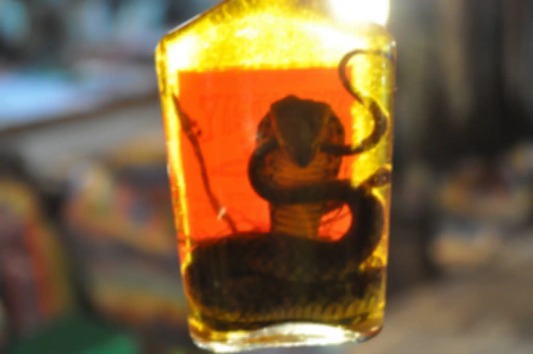Snake wine