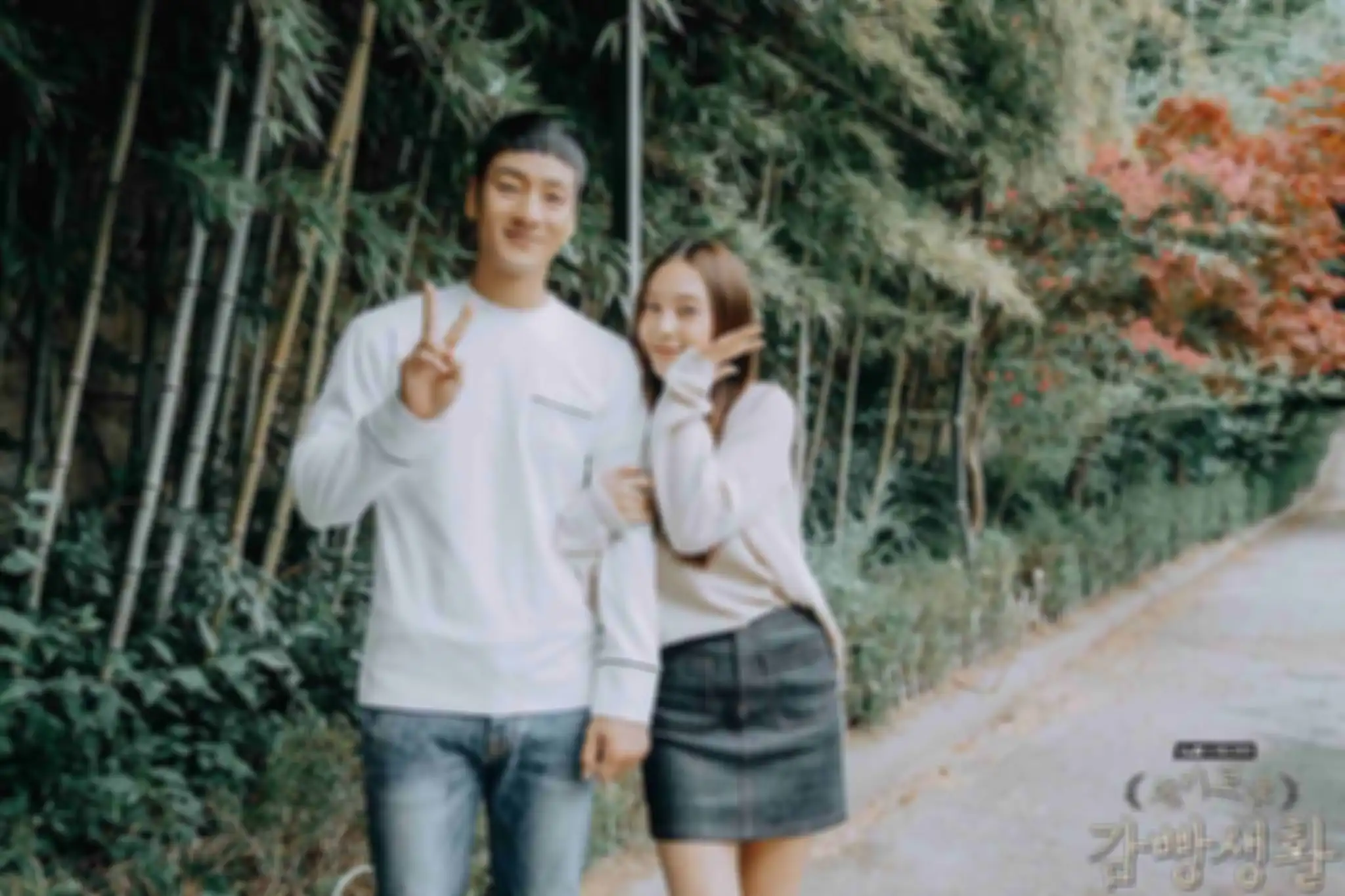 Prison playbook