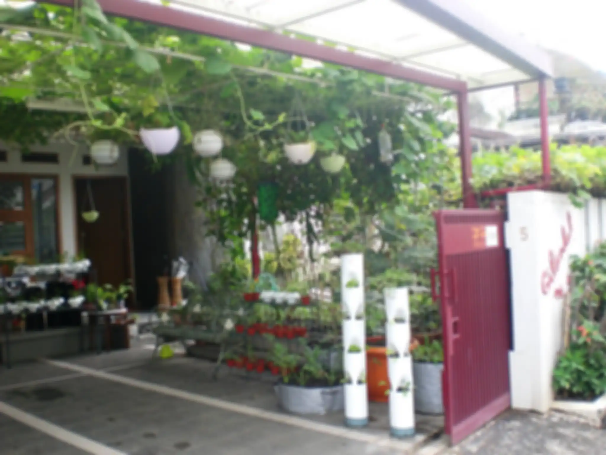 Tanaman untuk Carport