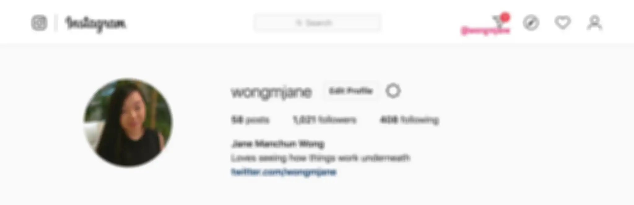 Instagram Dircet Massage di website