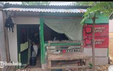 Bolasport content image