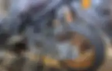 Modif Kirian Bikin Skutik Makin Ngacir, Part Ini Wajib Diganti