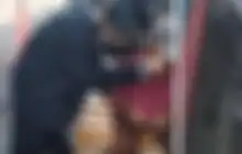 Uang Rp 300 Ribu Bikin Pemotor Nekat, Kakek Penjual Pisang Dicari Wakil Wali Kota Bogor 