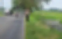 Pedagang Sayur di Kediri Tutup Usia, Motor Roda Tiga Ditemukan di Parit 
