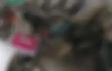 Uang Rp 800 Ribu Motor Musuh SPBU Suzuki Thunder Bisa Jadi Hak Milik, Dokumen Lengkap