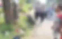 Kaget Berujung Maut, Mahasiswa Pengendara Honda BeAT Tewas di Bawah Pohon