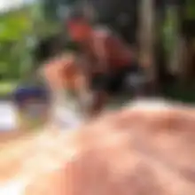 Mengapa Sagu Merupakan Produk Pangan Lokal yang Sangat Menjanjikan pada Masa Mendatang?