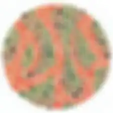 Tes mata ishihara