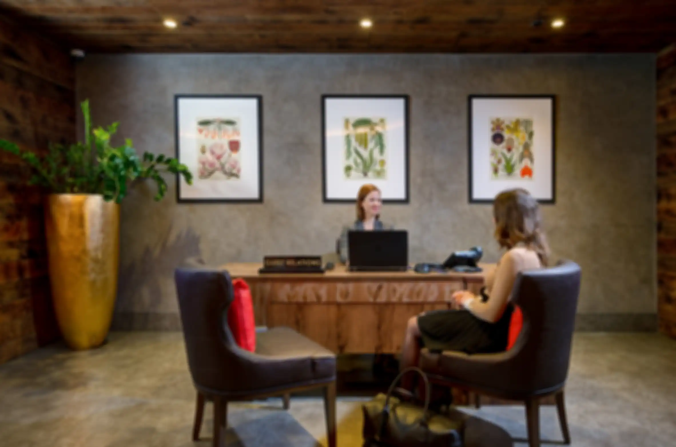 Suite tamu vegan