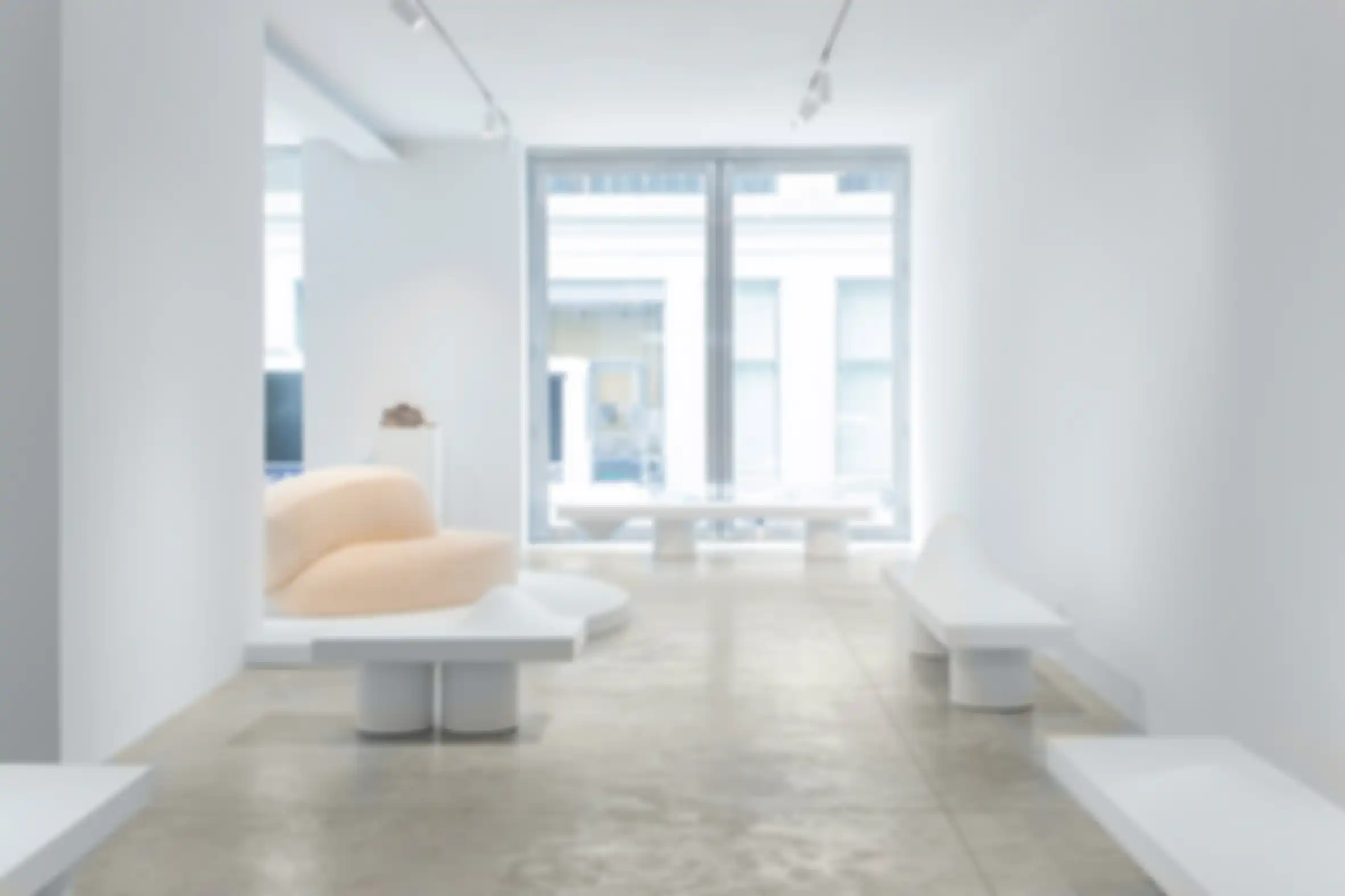 pameran Transition