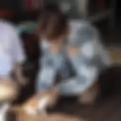 Kucing liar memasuki wilayah SEVENTEEN berada
