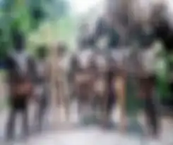 Suku Bazui, suku terasing di Tanah Papua.