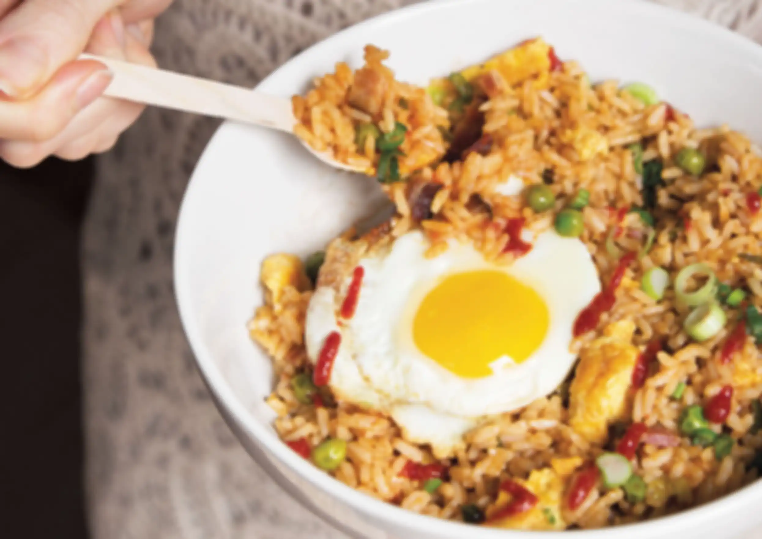 Telur dan nasi goreng