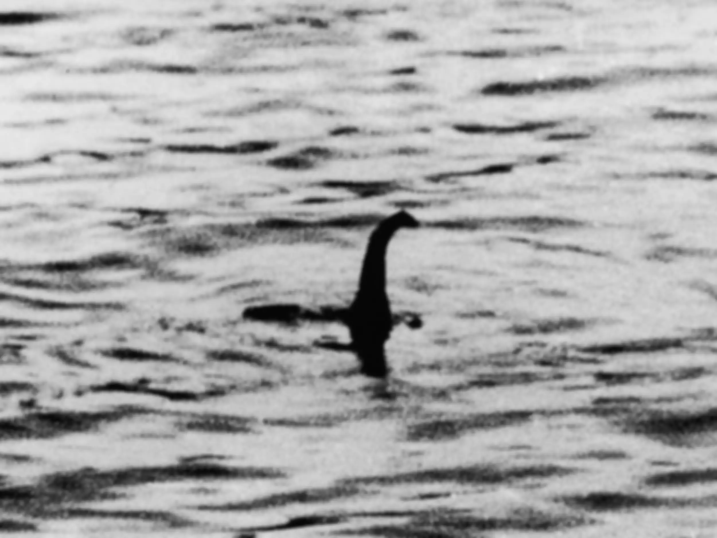 Legenda Monster Loch Ness telah ada sejak sekitar 1.500 tahun yang lalu.
