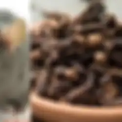 Gunakan Bumbu Dapur ini Untuk Mengusir Tikus yang Ada di Rumah, Lebih Ampuh dari Lem Tikus