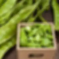 Biasanya Dibuang, Siapa Sangka Kulit Petai Ternyata Bisa Jadi Obat yang Ampuh Untuk Penyakit Ini