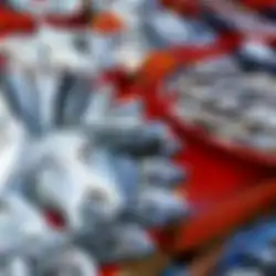 4 Ciri Ikan Berformalin yang Sebabkan Kanker, Kenali Cirinya