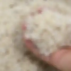  Inilah  5 Cara Ampuh Bikin Beras Nggak Berkutu, Perlu Di Coba