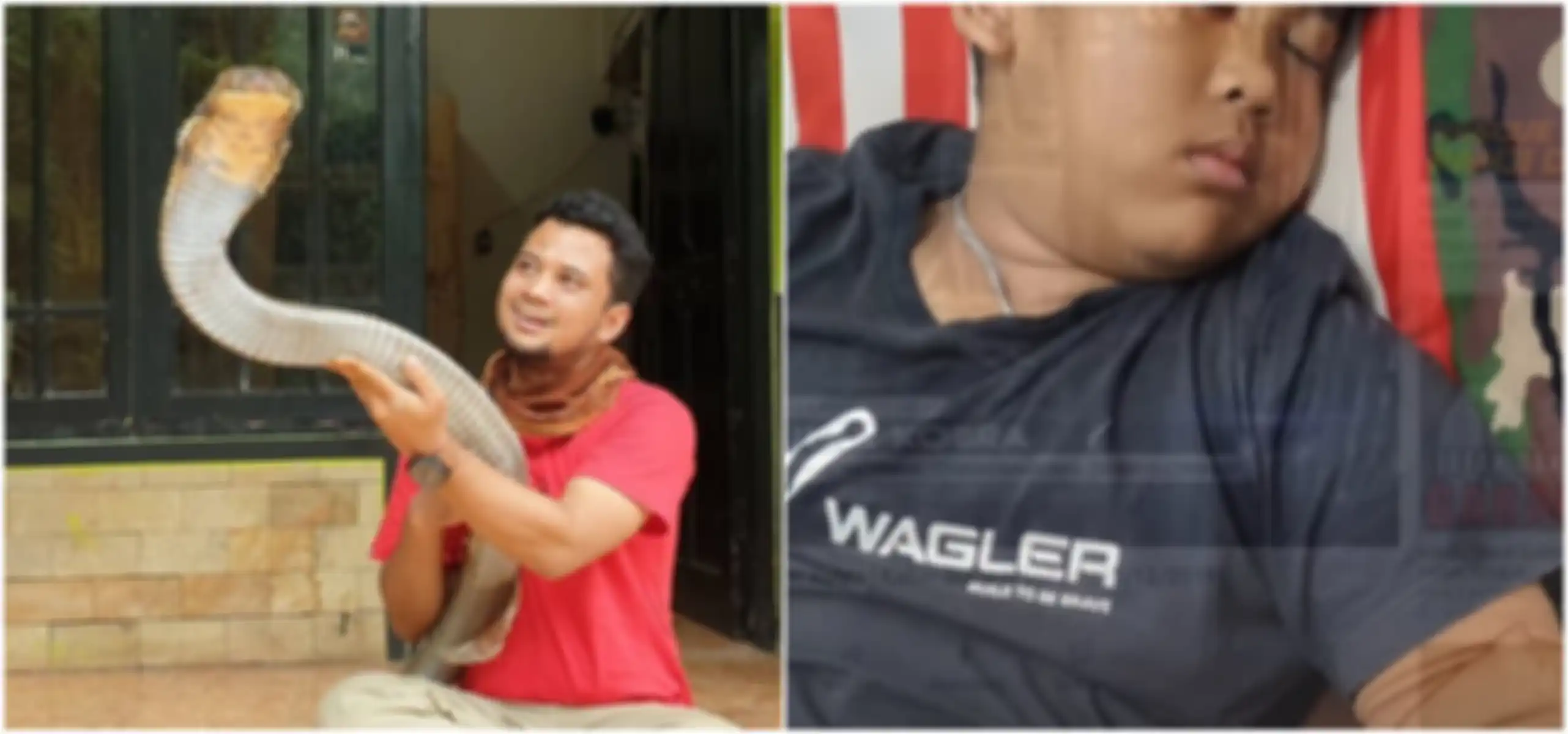 Anak Panji Petualang digigit ular kobra, begini kondisinya sekarang