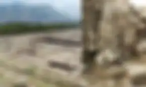 Berusia 1.800 tahun, patung Buddha ditemukan di kota kuno Alexander Agung.