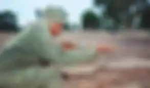 Gombi