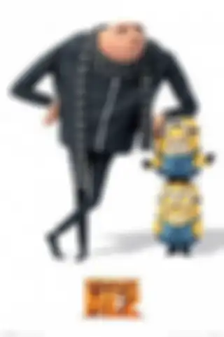 Despicable Me 2 (2013)