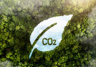 Andalkan Lanskap Geologis yang Mirip Indonesia, Malaysia Siap Tarik Investasi Rp160 Triliun dari Proyek Karbon