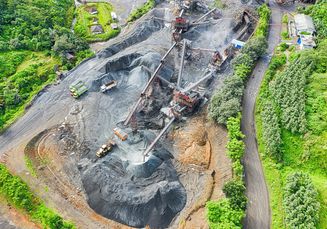 Apa Dampaknya jika 20 Juta Hektare Hutan Indonesia Ditebang?