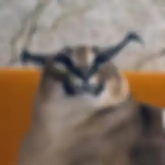 Foto unik kucing caracal yang ternyata dibanderol Rp 150 juta. Berikut fakta-fakta menarik dari kucing pemburu ini. 