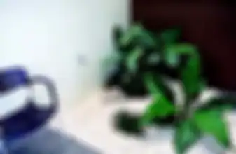 Taman kering solusi untuk rumah minimlais dengan lahan terbatas. 