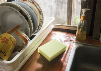 Spons Cuci Piring Sarang Bakteri, Ini Cara Mudah Membersihkannya