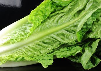 Rugi Besar Kalau Sampai Tak Tahu, Ternyata Daun Selada Memiliki Banyak Manfaat Luar Biasa Bagi Kesehatan, Salah Satunya Mengatasi Peradangan!