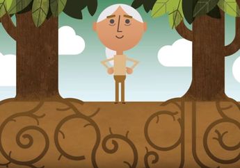 Memperingati Hari Bumi, Google Doodle Tampilkan Sosok Dr Jane Goodall, Siapa Dia?