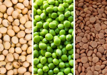 Tak Sekedar Enak, 6 Makanan Ini Bisa Bantu Seimbangkan pH Darahmu loh!