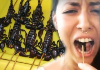 Arti Mimpi Makan Kalajengking Tidak Selalu Jadi Pertanda Buruk, Awal Muncul Benih-benih Cinta, Simak Ulasannya Berikut Ini