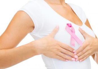 Viral Usai 2 Siswi SMA di Kalimantan Tengah Sabet Gelar Jadi Juara Dunia, Lihat Penampakan Bajakah, Pohon Ajaib yang Berkhasiat Sembuhkan Kanker Payudara