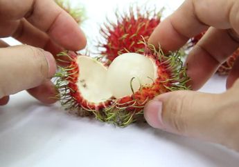 8 Manfaat Kesehatan Ketika Kamu Rutin Konsumsi Buah Rambutan Setiap Hari