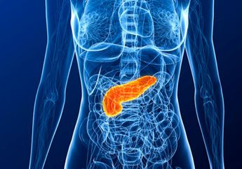 Ini Dia 4 Hal yang Perlu Kamu Ketahui Tentang Pankreatitis, Simak yuk!