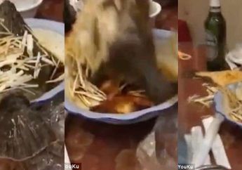 Bikin Geger Pengunjung Restoran, Ikan di Atas Mangkuk Mendadak Lompat saat Hendak Disantap hingg Dijuluki Ikan Zombie