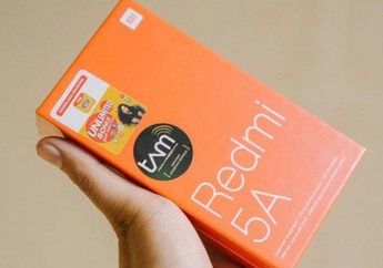 Xiaomi Resmi Bergaransi TAM, Ternyata Waktu Garansinya Tak Sampai 1 Tahun