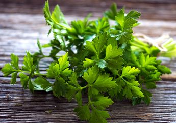 Meski Sehat dan Bermanfaat, Peterseli Disebut Punya Bahaya untuk Ibu Hamil