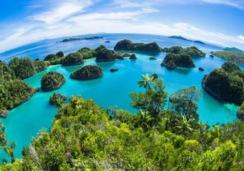 Lima Fakta Menarik Sebelum Berkunjung ke Raja Ampat, Papua! 
