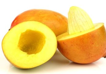 Sering Dibuang, Siapa Sangka Biji Mangga Punya Banyak Manfaat loh