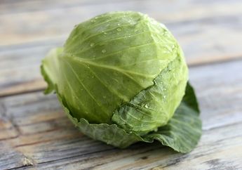 Hadapi Corona; Sayuran Ini Lebih Tahan Lama Bahkan Berbulan-bulan, Bisa Disiapkan untuk Hadapi PSBB, Salah Satunya Kubis
