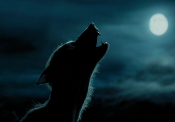 Arti Mimpi Manusia Serigala Memang Mengerikan, Biasanya Membawa Simbol Kejahatan dalam Hidup, Berhati-hatilah! 