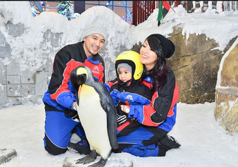 Mengintip Pengalaman Seru Dua Pasangan Selebriti Indonesia Saat Berlibur ke Dubai