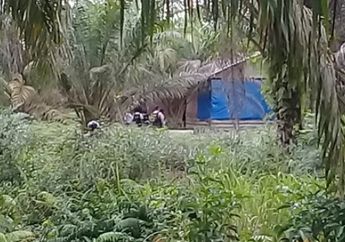 Sebuah Gubuk Kayu Dikepung Anggota Polda Riau Bersenjata Lengkap, ini Alasannya
