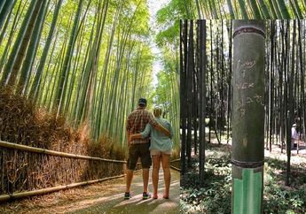 Lagi, Rumpun Bambu Warisan Dunia di Arashiyama Kyoto Dirusak oleh Wisatawan