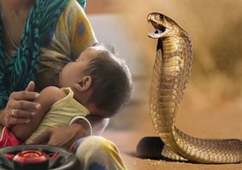 Tragis, ASI Terkontaminasi Bisa Ular, Ibu dan Bayinya Tewas Bersamaan