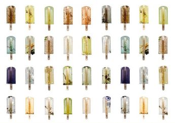 Popsicle Ini Dibuat dari Limbah, Kok Bisa, Ya? Cari Tahu, Yuk!